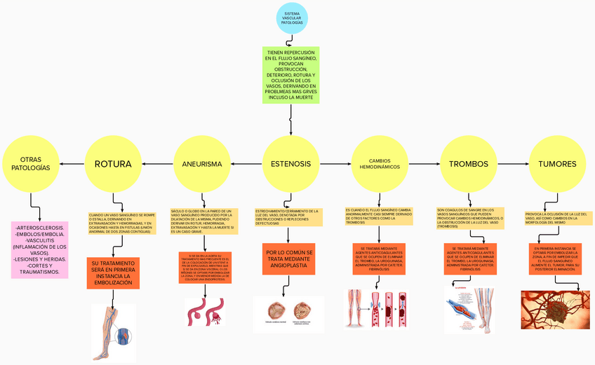 Miniatura del documento PATOLOGIAS-VASCULARES.pdf