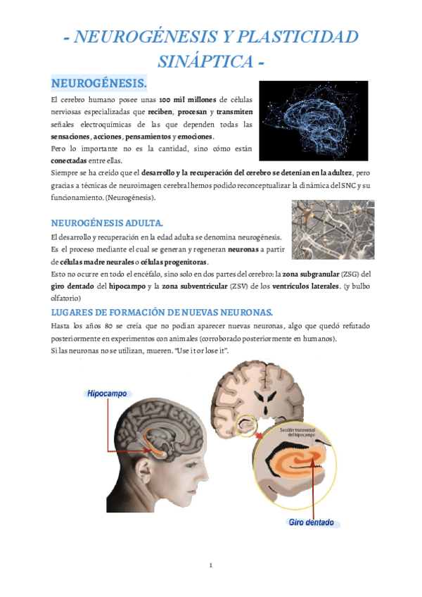 Miniatura del documento 2.pdf