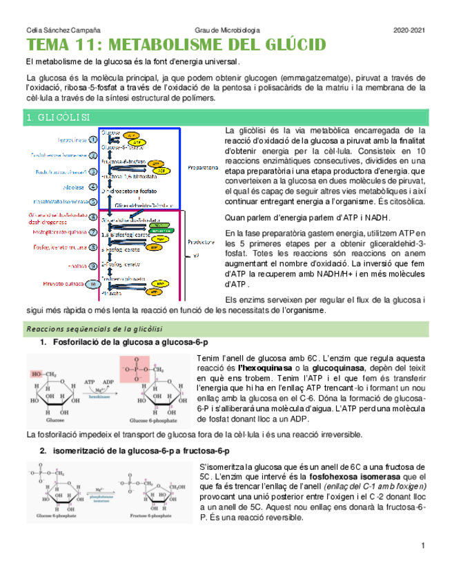 Miniatura del documento Tema-11.pdf
