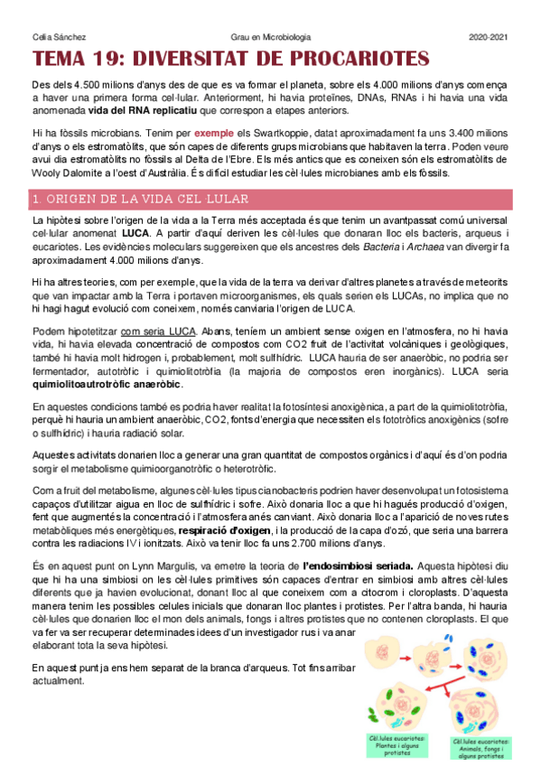 Miniatura del documento temes-19-a-23.pdf