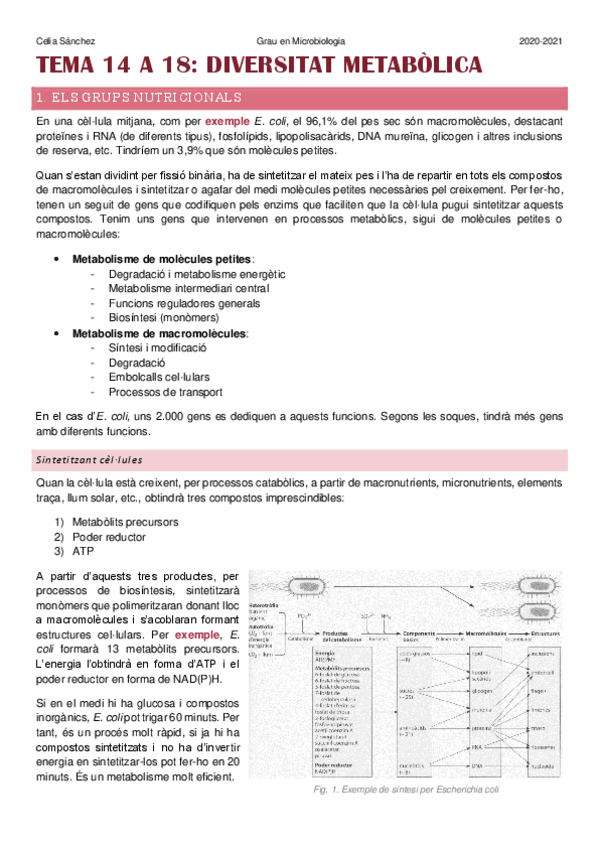 Miniatura del documento temes-14-a-18.pdf