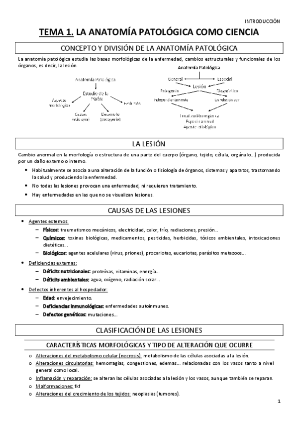 Miniatura del documento 1o-Parcial-APG.pdf