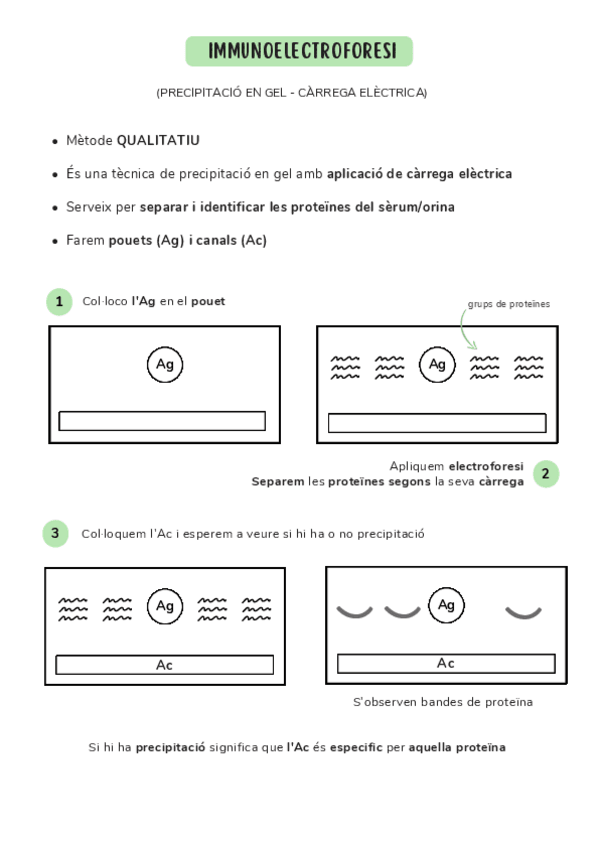Miniatura del documento IMMUNOELECTROFORESI.pdf