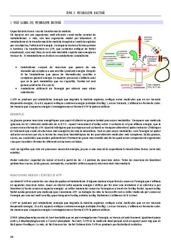 Miniatura del documento bloc-3-microbio-print-bo.pdf