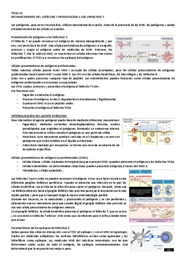 Miniatura del documento 14.pdf