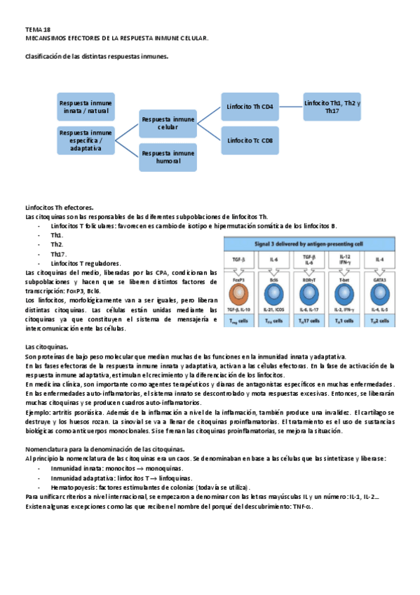 Miniatura del documento 18.pdf