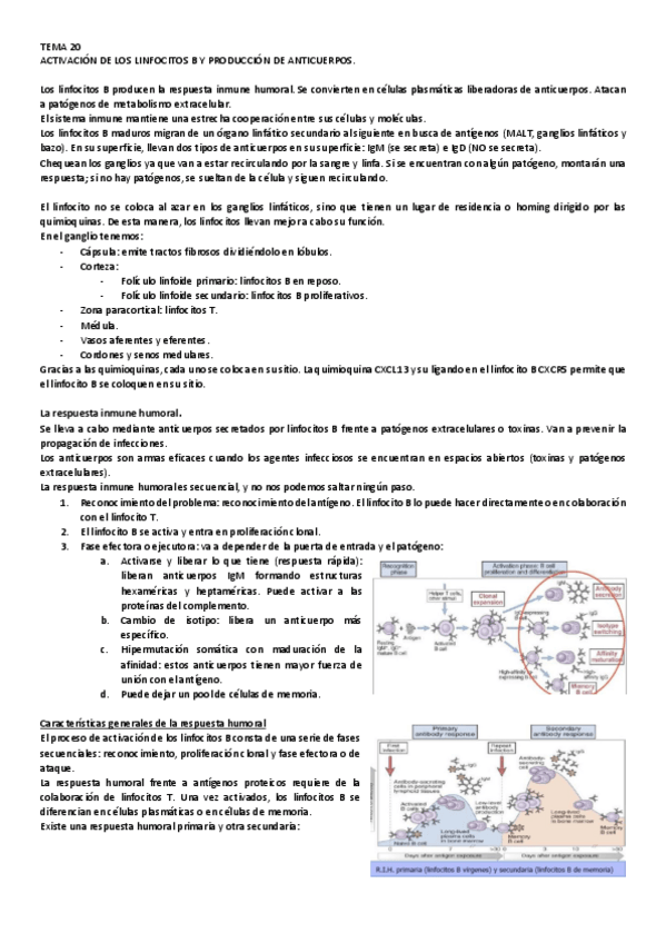 Miniatura del documento 20.pdf