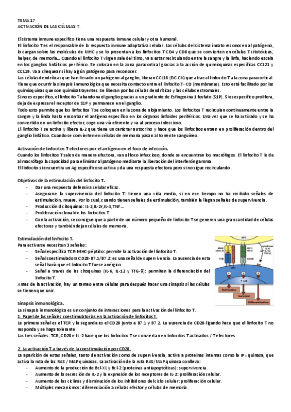 Miniatura del documento 17.pdf