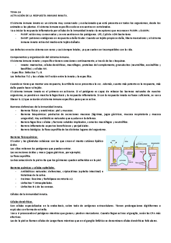 Miniatura del documento 16.pdf