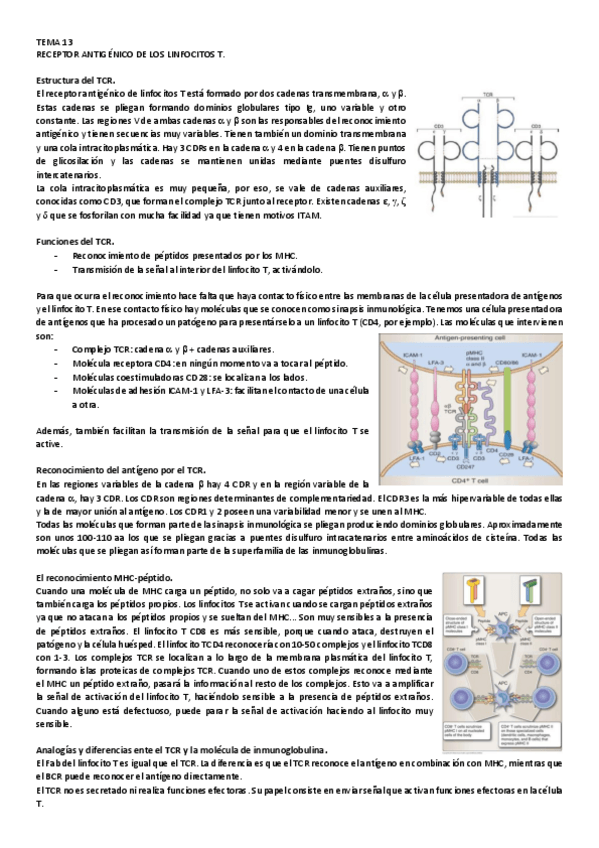 Miniatura del documento 13.pdf