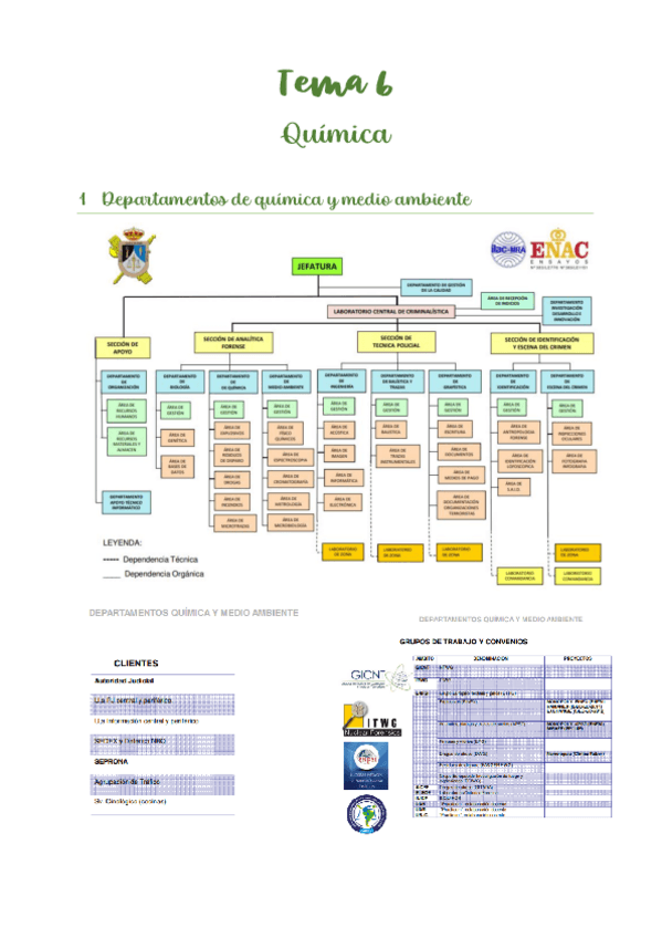 Miniatura del documento T6 T7 T8