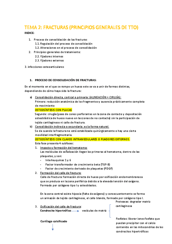 Miniatura del documento TEMA-2.pdf
