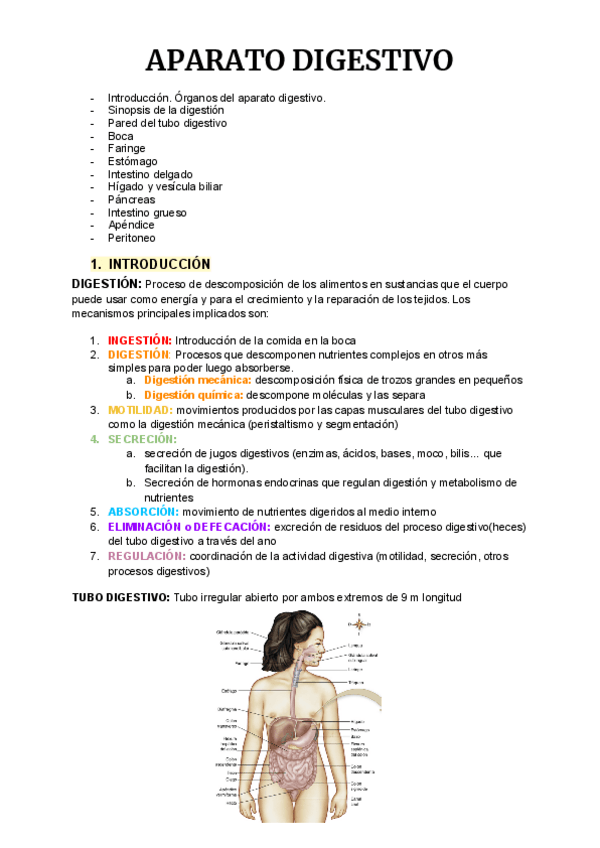 Miniatura del documento Copia-de-Anatomia-2.pdf