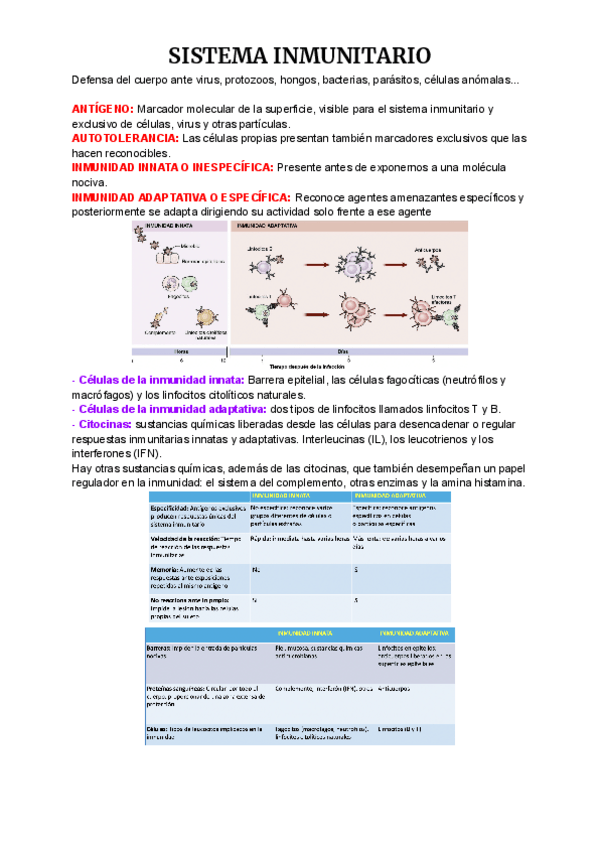 Miniatura del documento Copia-de-Anatomia-1-1-6.pdf