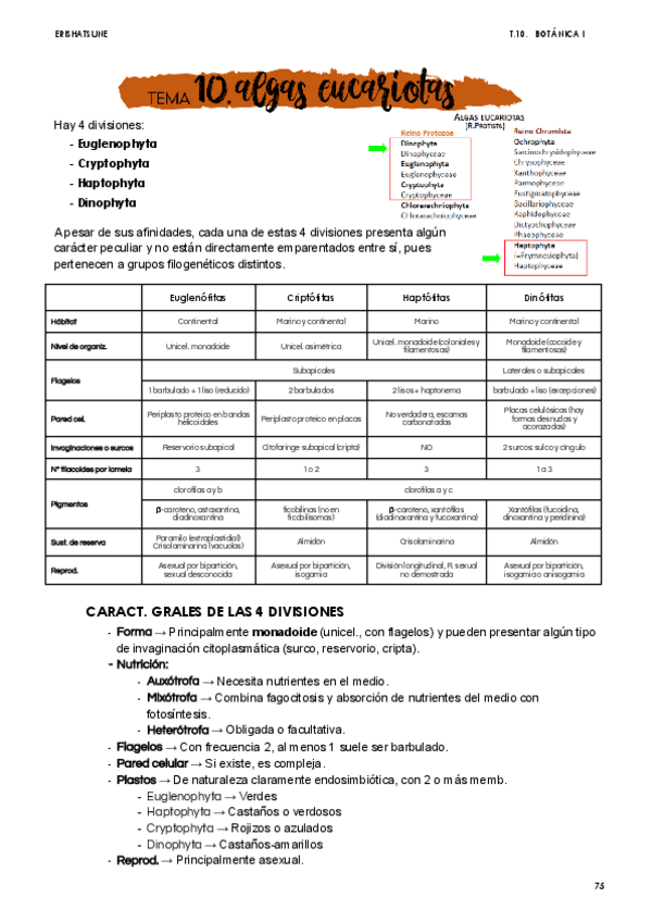 Miniatura del documento Tema-10-Algas-eucariotas.pdf