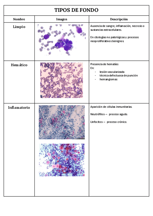 Miniatura del documento TIPOS-DE-FONDOS-CELULARES.pdf