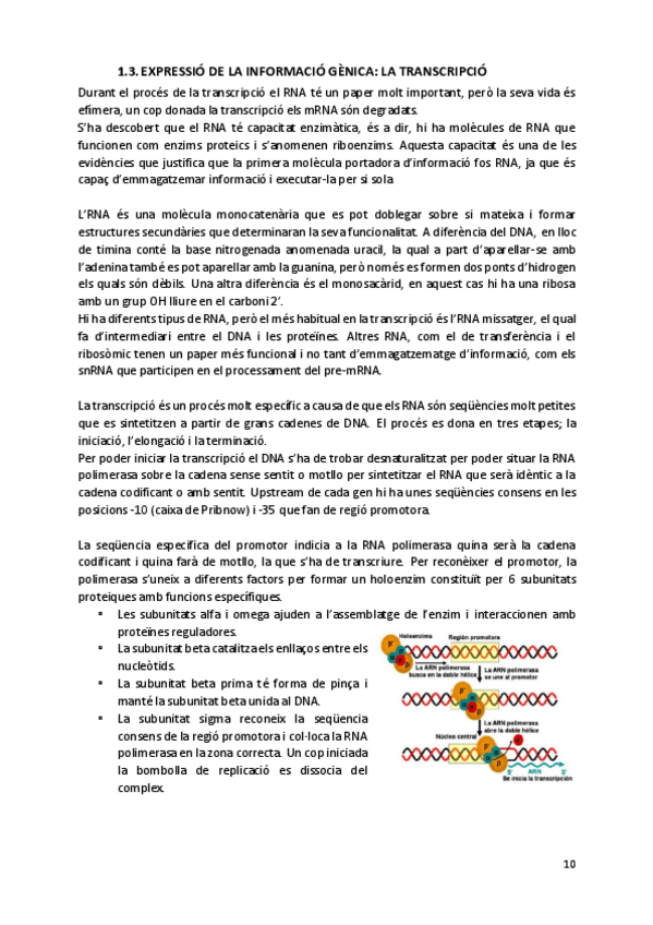 Miniatura del documento Expressio-de-la-informacio-genica-la-transcripcio.pdf