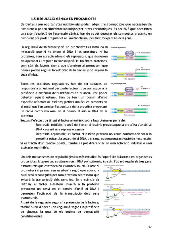 Miniatura del documento Regulacio-genica-en-procariotes.pdf