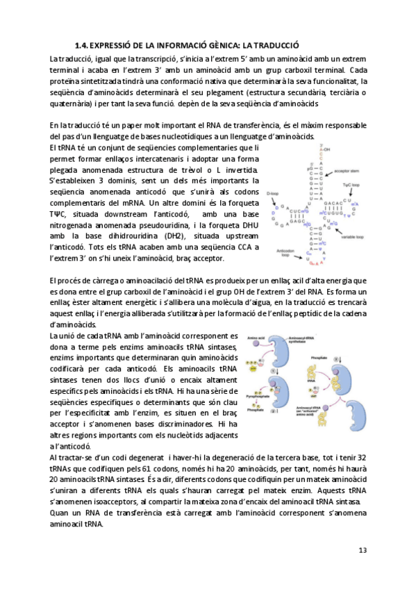 Miniatura del documento Expressio-de-la-informacio-genica-la-traduccio.pdf