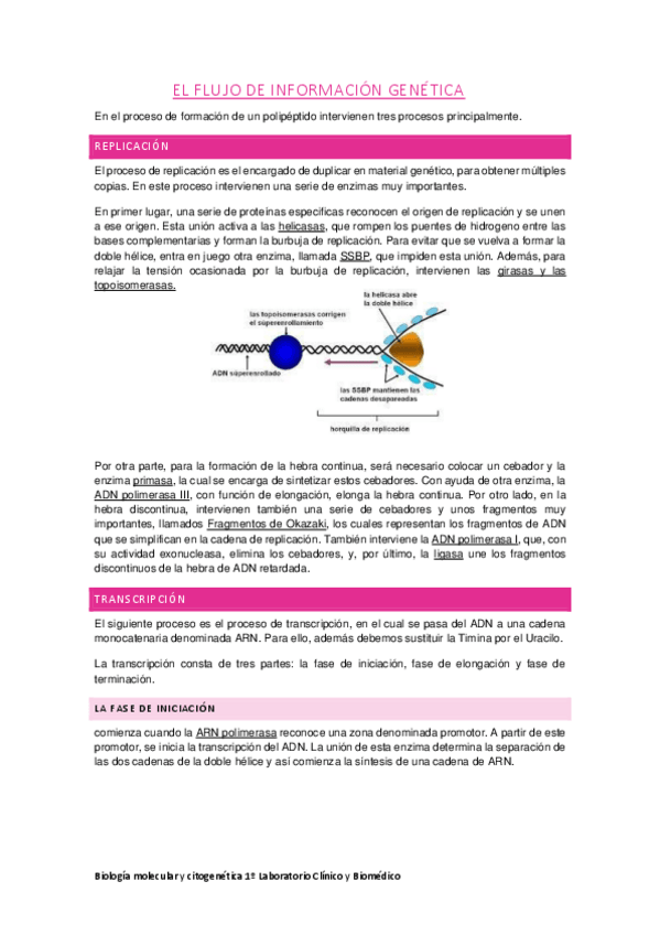 Miniatura del documento El-flujo-de-informacion-genetica.pdf