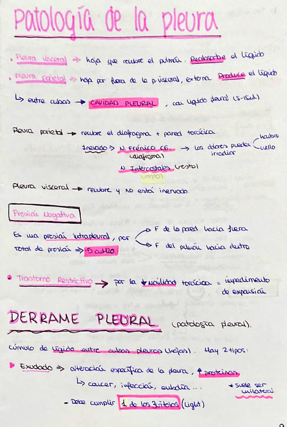 Miniatura del documento Ptologia-de-la-plaura-AFMI.pdf