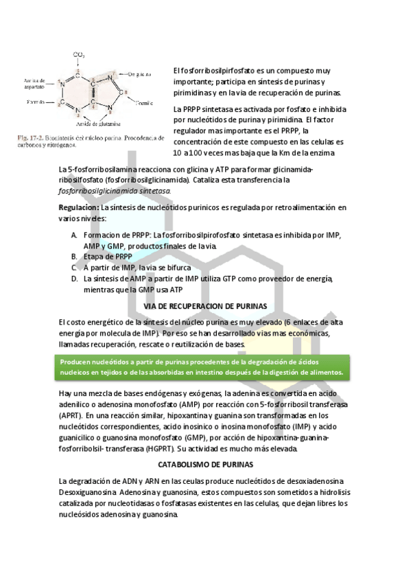 Miniatura del documento VIA-DE-RECUPERACION-DE-PURINAS.pdf