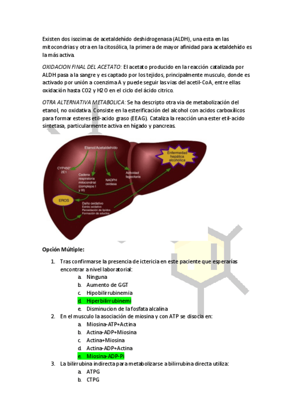 Miniatura del documento OXIDACION-FINAL-DEL-ACETATO.pdf