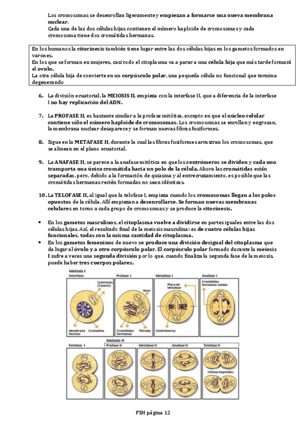 Miniatura del documento FISICA-MEDICA-II.pdf