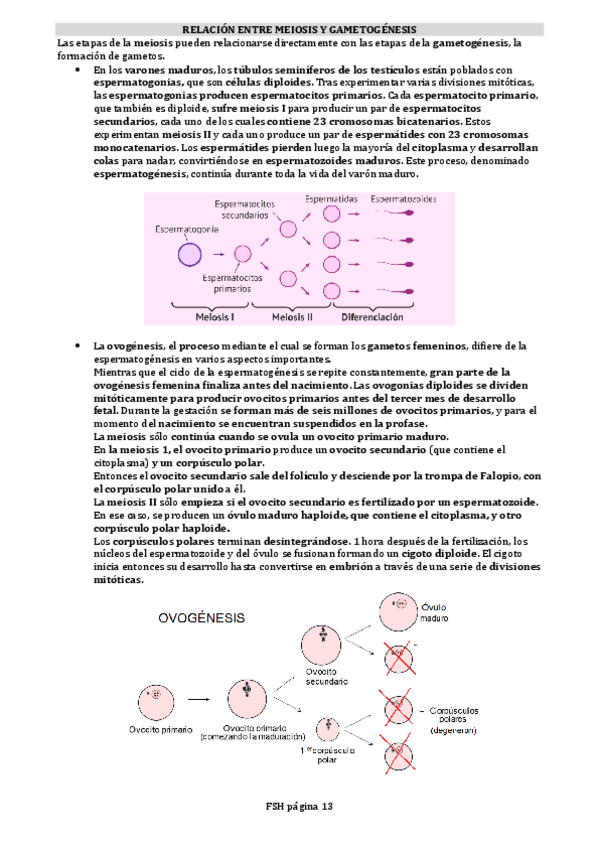 Miniatura del documento FISICA-III.pdf
