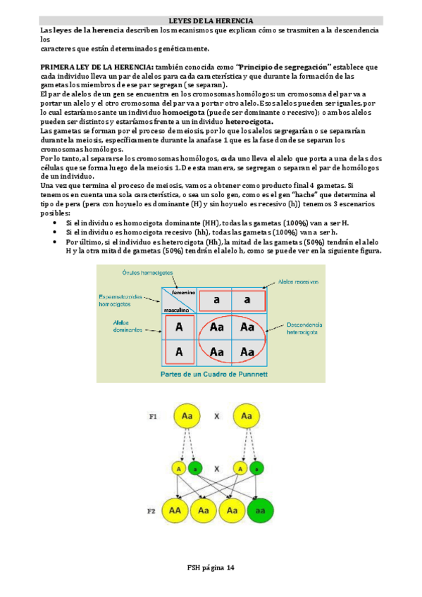 Miniatura del documento LEYES-DE-LA-HERENCIA.pdf