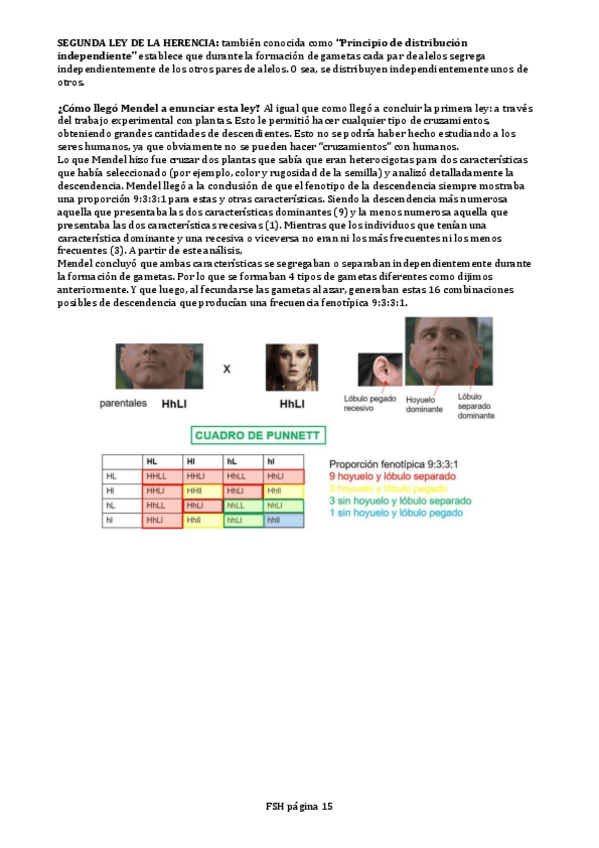 Miniatura del documento SEGUNDA-LEY-DE-LA-HERENCIA.pdf