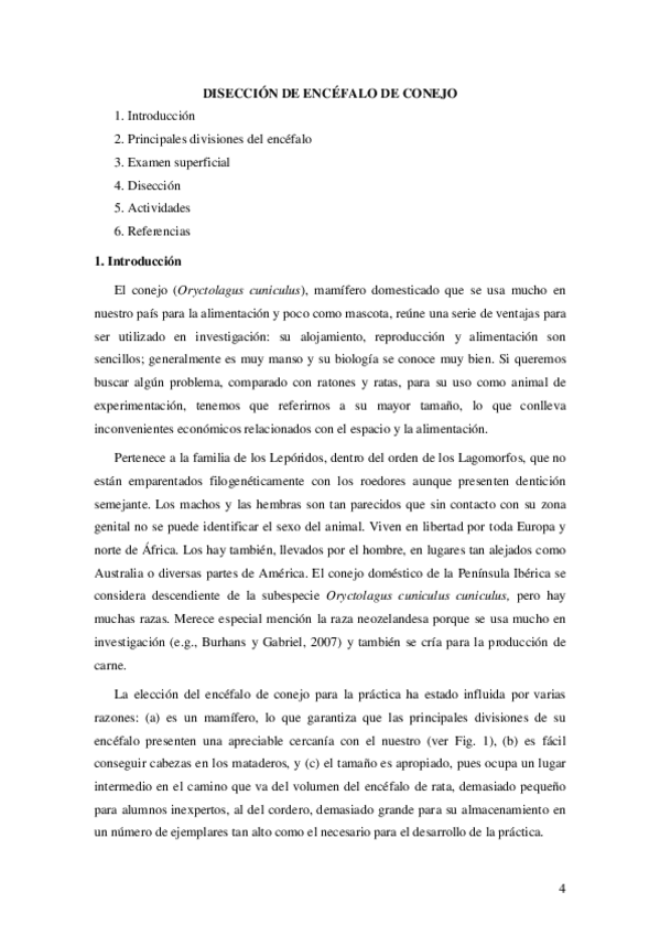 Miniatura del documento Practica-Diseccion-del-encefalo.pdf