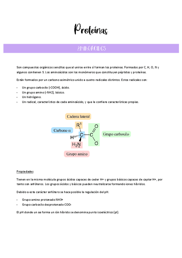 Miniatura del documento Temas 5-6-7-Proteinas Enzimas y Vitaminas.pdf