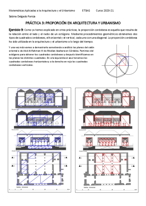 Miniatura del documento Sabina-Delgado-Paniza-Ejercicio-9.pdf
