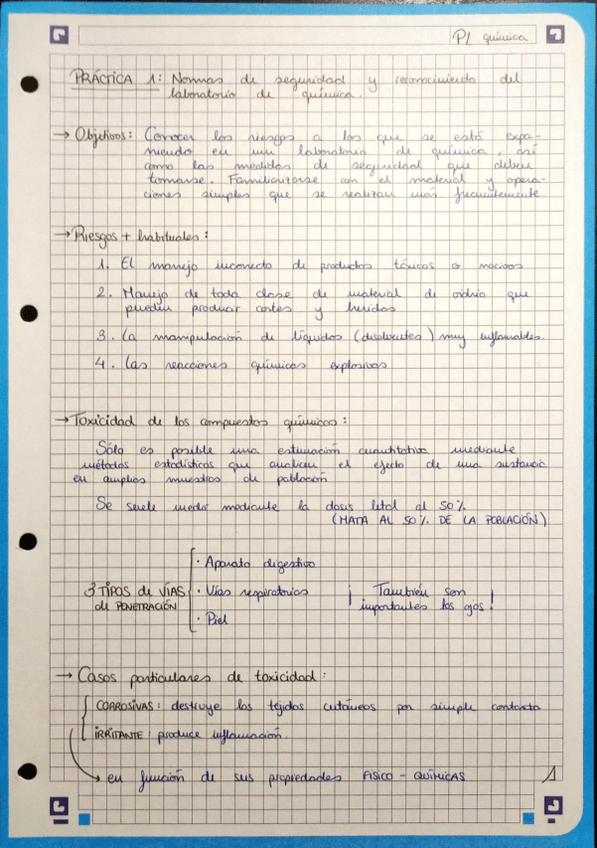 Miniatura del documento Resumen-PLs-quimica.pdf