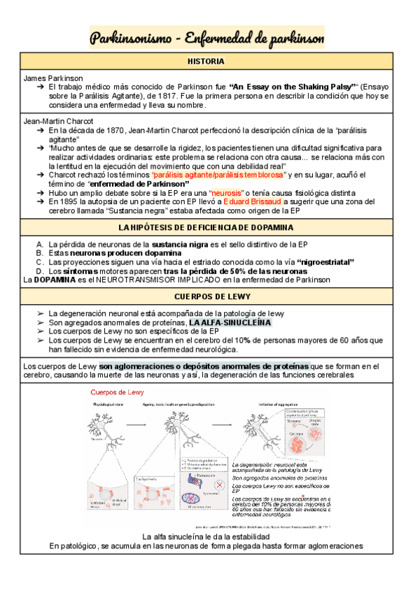 Miniatura del documento NUERO-CIENCIAS.pdf