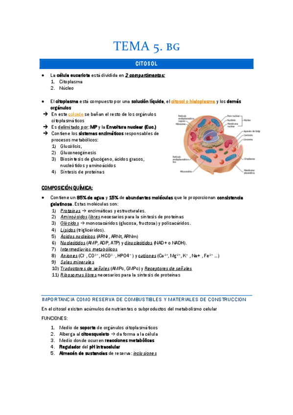 Miniatura del documento APUNTES-T5.pdf