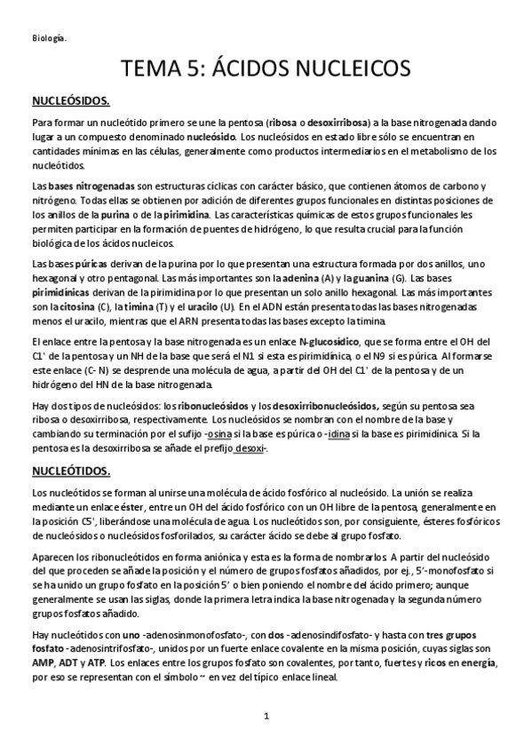 Miniatura del documento TEMA-5-ACIDOS-NUCLEICOS.pdf