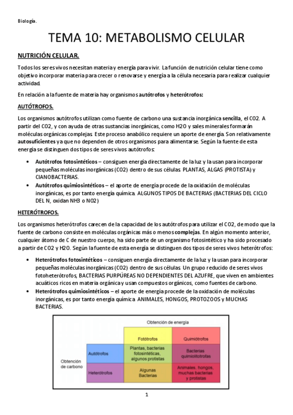 Miniatura del documento TEMA-10-METABOLISMO-CELULAR.pdf