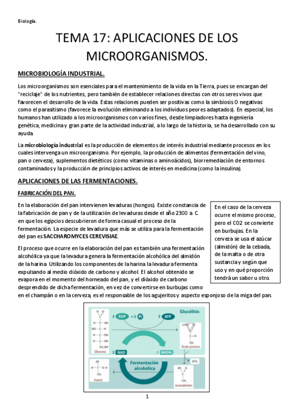 Miniatura del documento TEMA-17-APLICACIONES-DE-LOS-MICROORGANISMOS.pdf
