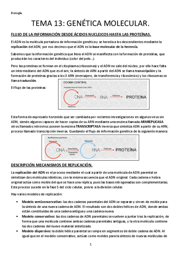 Miniatura del documento TEMA-13-GENETICA-MOLECULAR.pdf