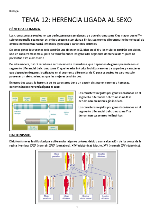 Miniatura del documento TEMA-12-HERENCIA-LIGADA-AL-SEXO.pdf