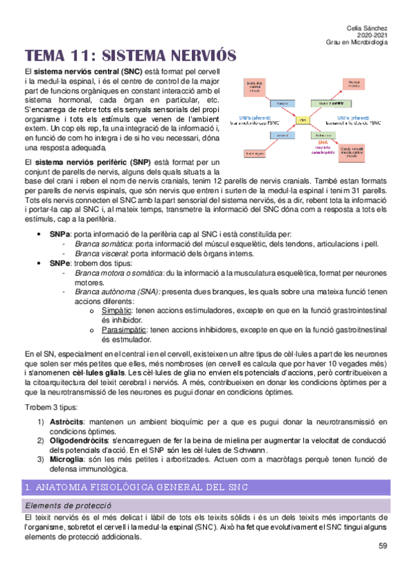 Miniatura del documento Tema-11.pdf