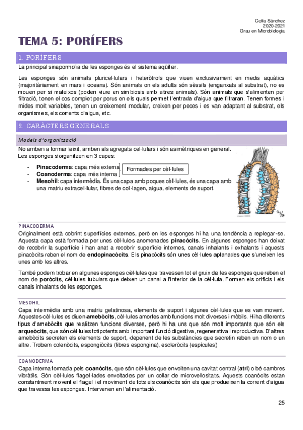 Miniatura del documento Tema-5.pdf