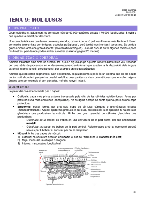Miniatura del documento Tema-9.pdf