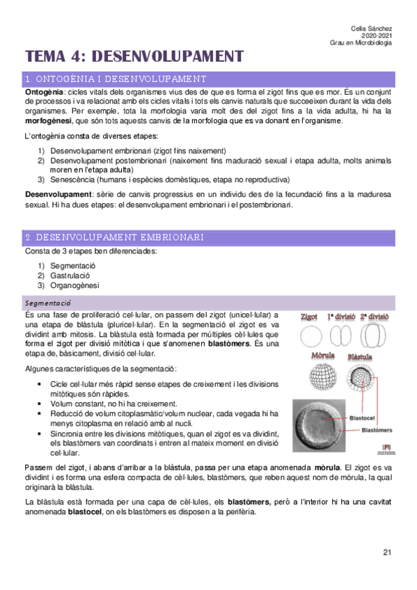 Miniatura del documento Tema-4.pdf