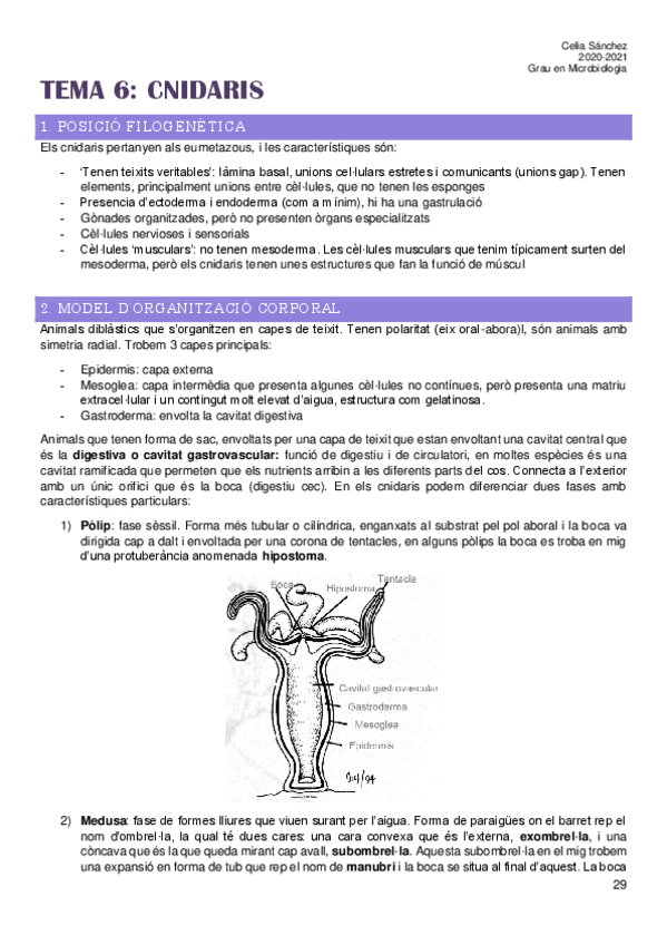 Miniatura del documento Tema-6.pdf