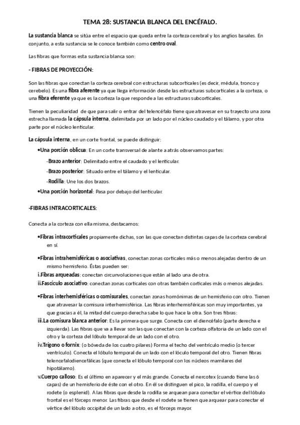 Miniatura del documento 28_listo.pdf