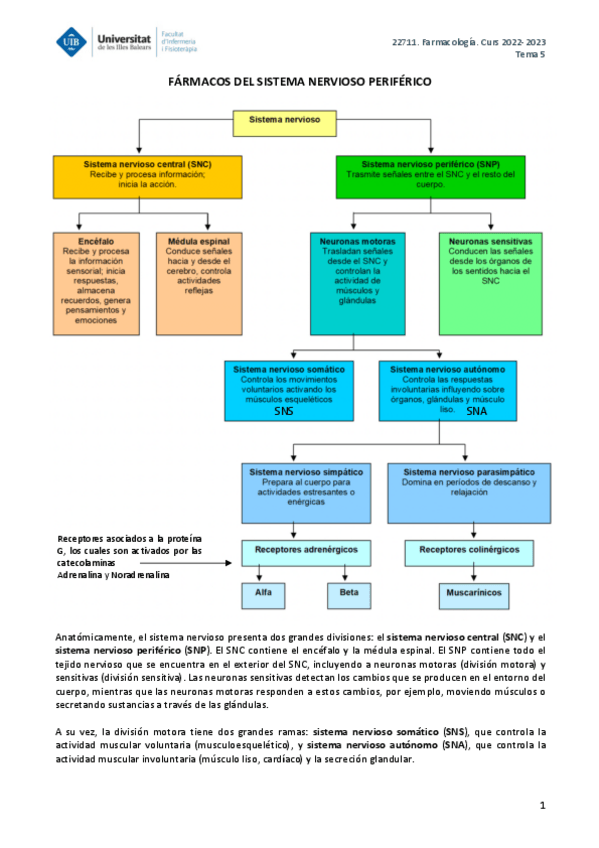 Miniatura del documento FARMACOLOGIA-TEMA-5.pdf