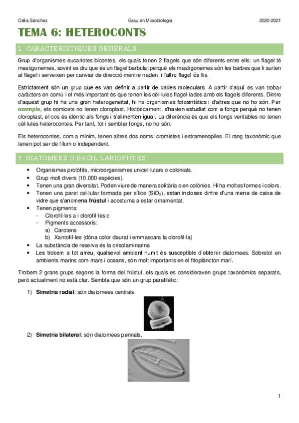 Miniatura del documento Tema-6.pdf